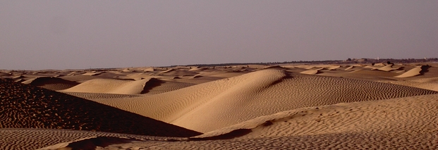 In 5 Jahren: Solarstrom aus der Sahara
