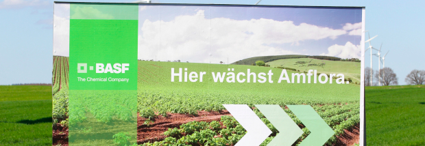 Anbau von Genpflanzen in der EU künftig Ländersache