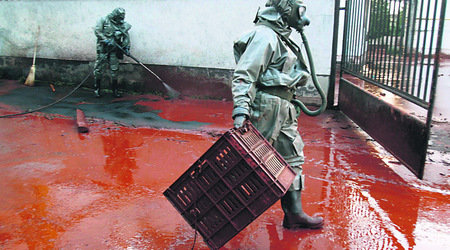 sludge.jpg