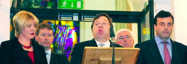 Irland: Neuwahlen im Januar