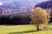 LABC120_festival_film_Nature_-_NAMUR_1.jpg