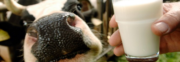 Verhandlungsmacht der Milcherzeuger soll steigen
