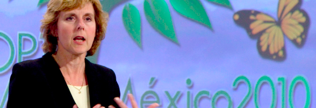 EU: Cancún muss substanzielle Fortschritte bringen