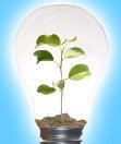 green-business.jpg