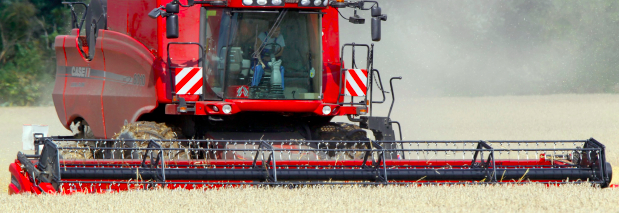 Steigende Preise für Weizen, Mais, Soja, Öl und Zucker lassen die globalen Lebensmittelpreise in die Höhe schnellen. Foto: dpa