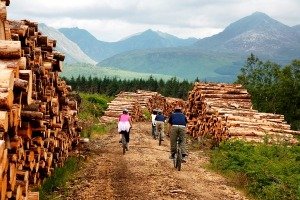 Brennholz als nächster globaler Rohstoff