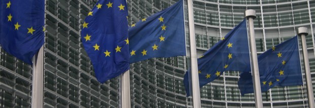 Heesen: EU-Beamte nicht zu Sündenböcken machen