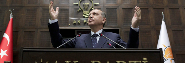 Die neue Türkei: Vorbild für die arabischen Reformländer?