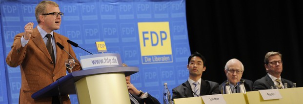 FDP-Mitgliederentscheid zur Euro-Rettung