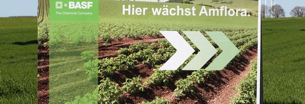 Pflanzen-Gentechnik: BASF verlässt frustriert Europa