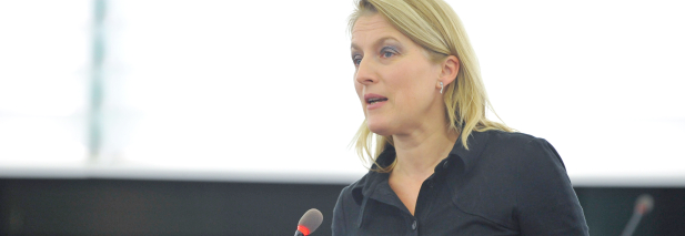 Premiere: Rederecht für EU-Parlamentarier im Wiener Landtag