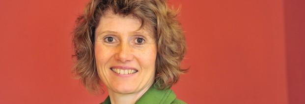"Bundesländer können Energiewende beschleunigen"