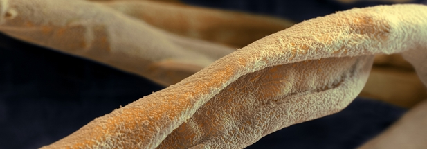 Nanomaterialien: Kleine Helfer oder gefährliche Winzlinge