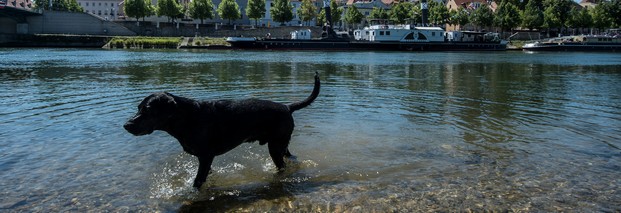 Wasserpolitik: Umweltminister gegen neue EU-Gesetze