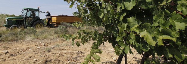Bei den Agrarsubventionen soll nicht gekürzt werden, fordern die Landwirtschaftsminister Deutschlands und Frankreichs, Ilse Aigner und Stéphane Le Foll, in einem gemeinsamen Positionspapier. Foto: dpa