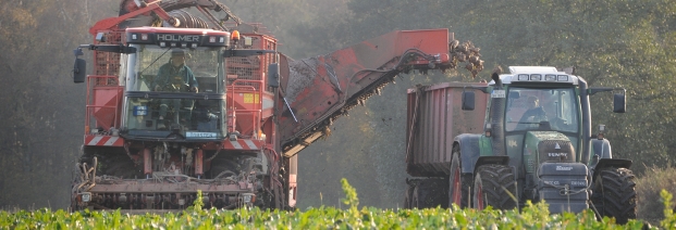 Rund 40 Prozent des gesamten EU-Haushalts wurden zwischen 2007 und 2013 für die Agrarwirtschaft aufgewendet. Foto: dpa