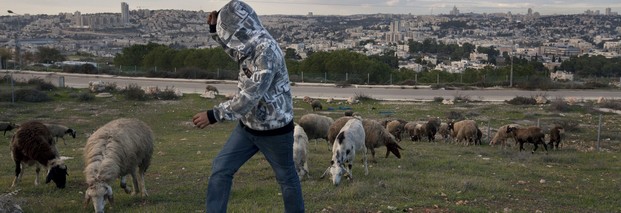 EU verurteilt Israels Siedlungspolitik