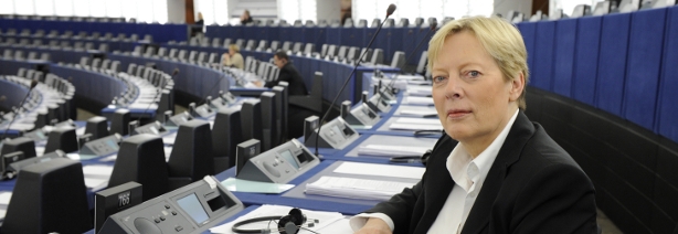 Politikkohärenz im Interesse der Entwicklung
