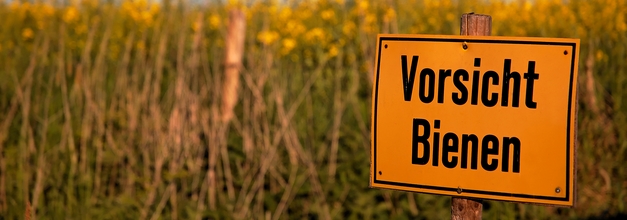 Nächste Runde im Kampf für die Bienen