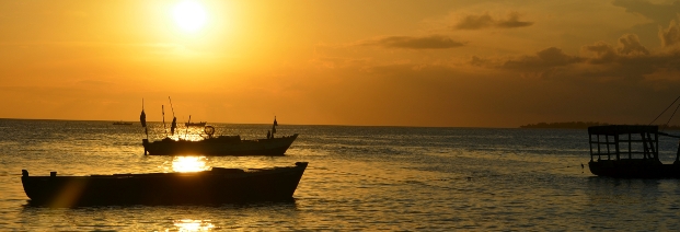 "Afrika ist ein Chancenkontinent geworden"