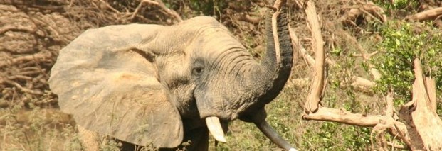 Hand in Hand: Naturschutz und Entwicklung in Benin