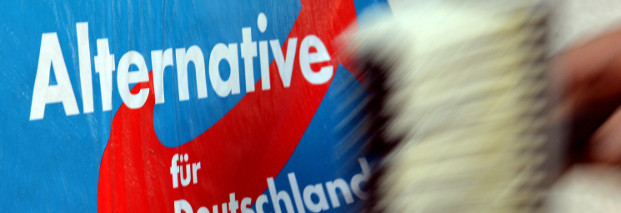 Verband europäischer Juden: "Die Rhetorik der AfD schürt Gewalt und Angst"