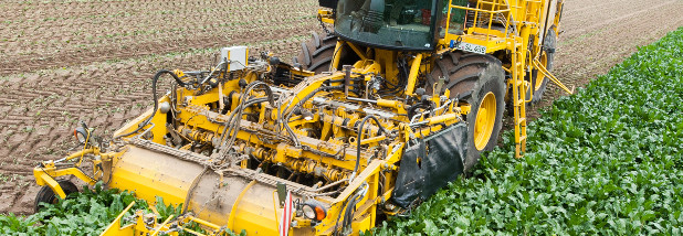 Klimasmarte Landwirtschaft - mehr als Greenwashing?