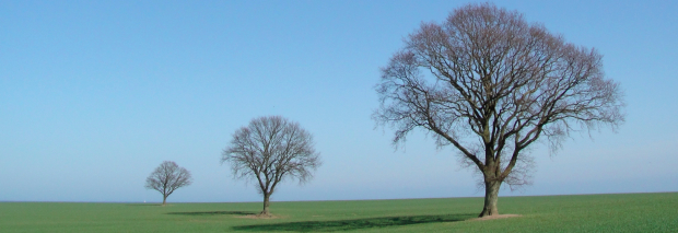 Klima- und Umweltschutz: Bremse oder Chance?