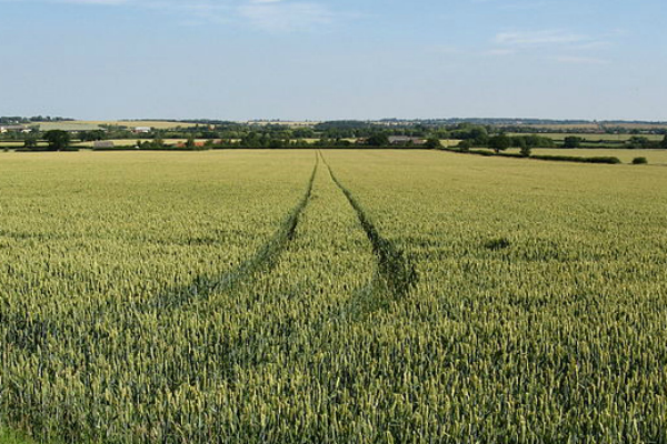 GAP-Ökoregelungen unter Doppelbeschuss von Landwirtschaft und Umweltschützer:innen