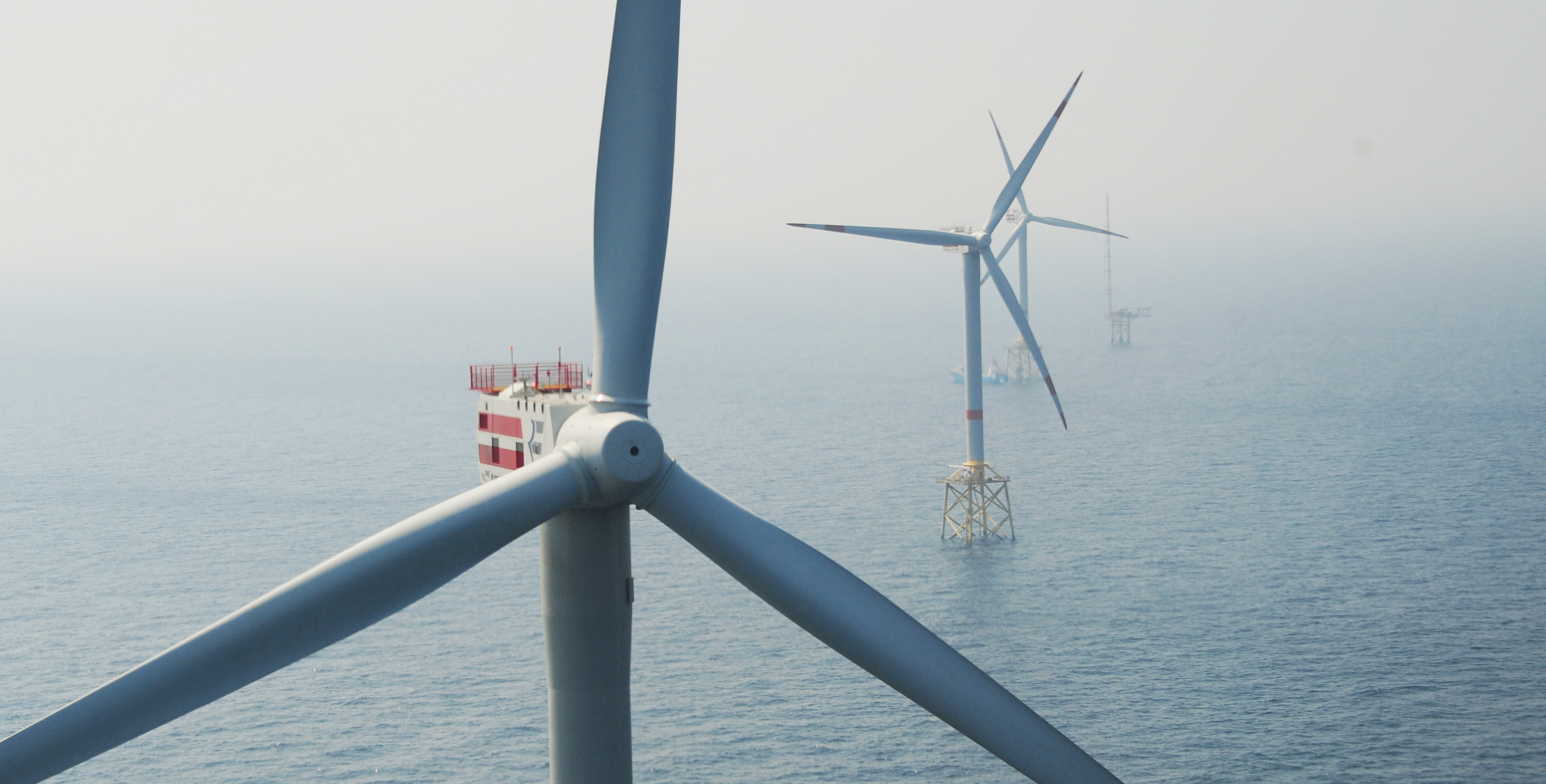 Deutschlands Vorreiterrolle in der Energiepolitik ist in Gefahr