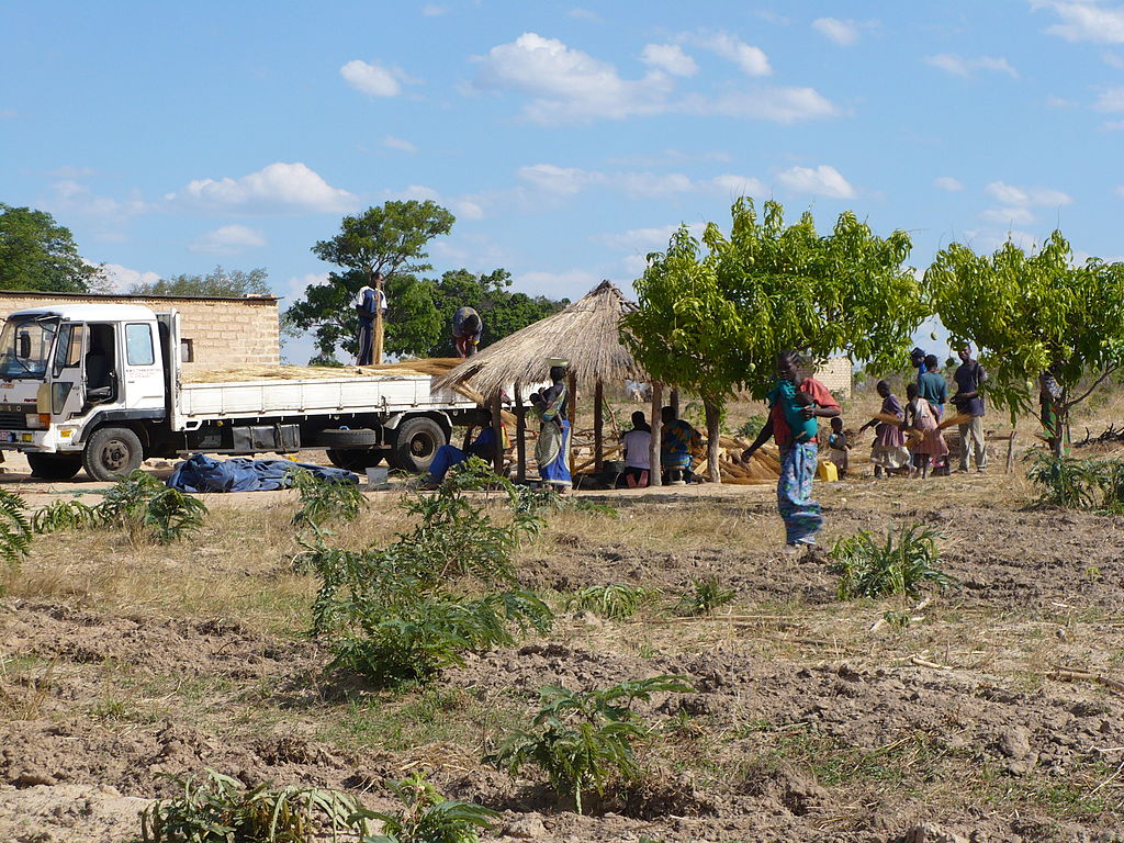 "Land-Grabbing" in Sambia: Unternehmen profitieren auf Kosten der Ärmsten