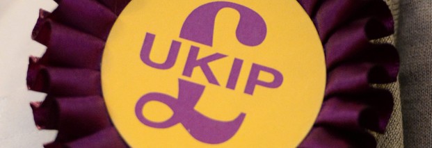Euroskeptische Ukip führt in Meinungsumfragen