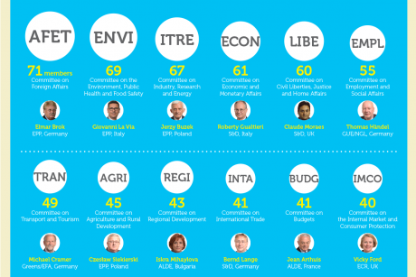 INFOGRAFIK: Wer ist wer im EU-Parlament