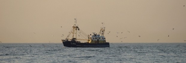 EU-Fischereipolitik: Diese Reform kann Fische und Fischer retten