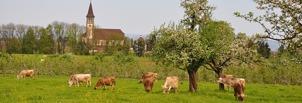 Agrarsubventionen - Liste deutscher Empfänger 2011