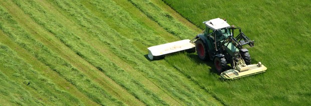 EU-Agrarsubventionen: Mehr für die Kleinen, weniger für die Großen