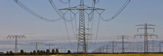Naturschutz beim Ausbau der Stromnetze