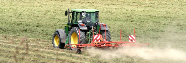 Agrarsubventionen: Rechnungshof kritisiert GAP-Reform