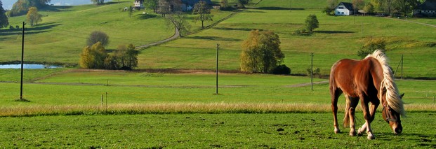 Bundesländer-Appell zur Agrarpolitik nach 2013