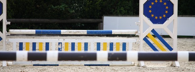 Bürgerfremde EU-Bürgerinitiative nachgebessert