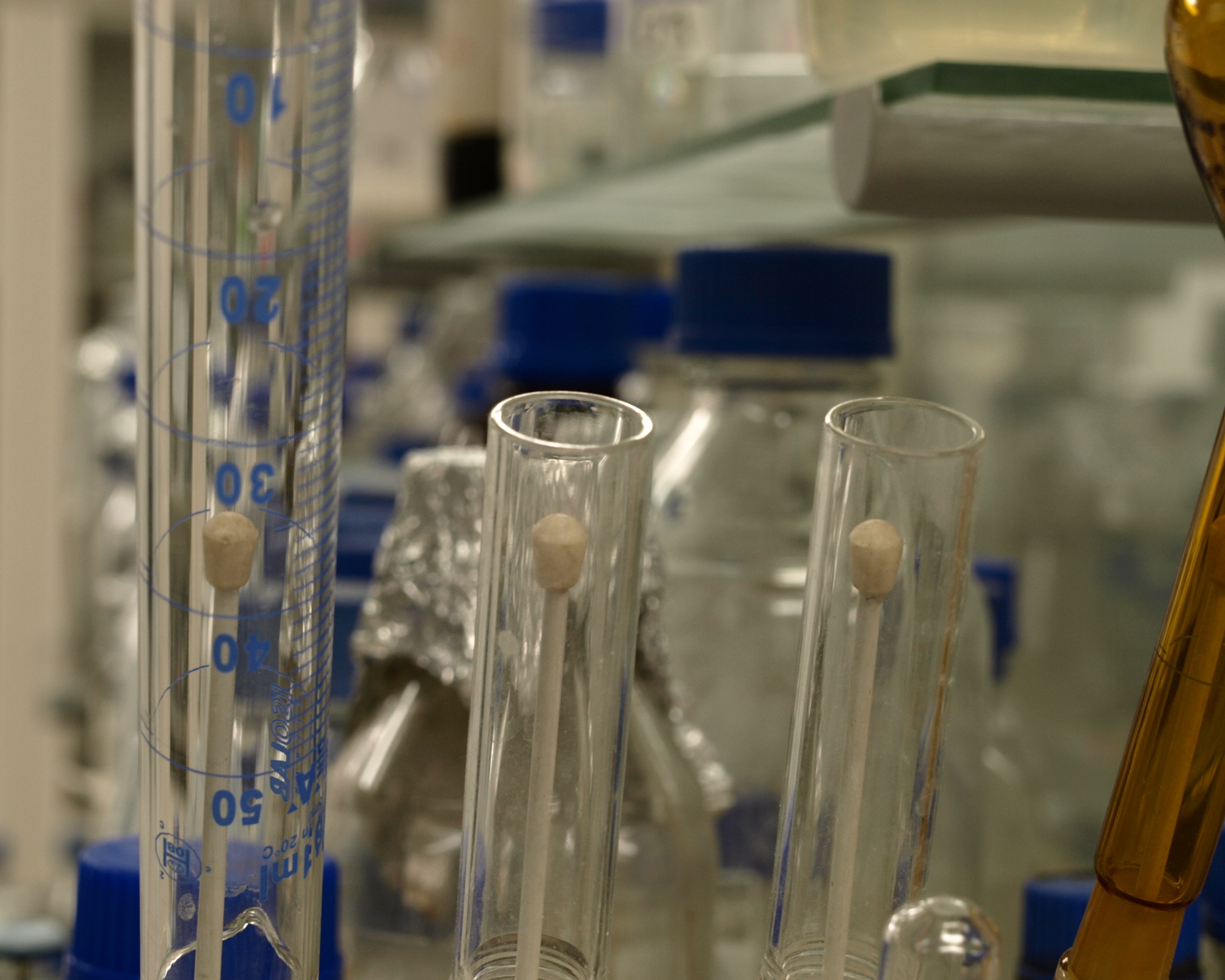 Hormonwirksame Chemikalien: "Wir müssen klar zwischen verschiedenen Risiken abwägen"