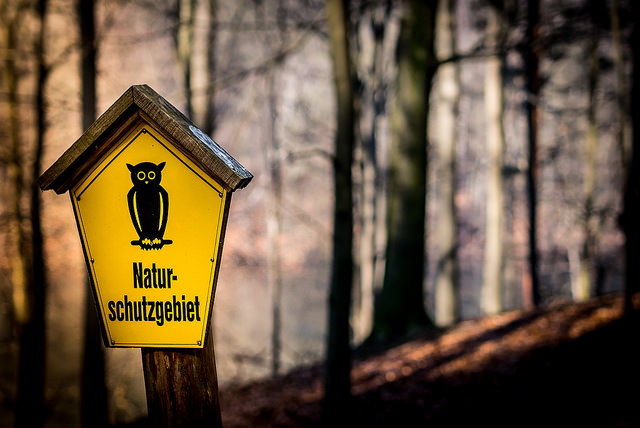 Zu wenig Naturschutz: EU-Kommission will Deutschland verklagen