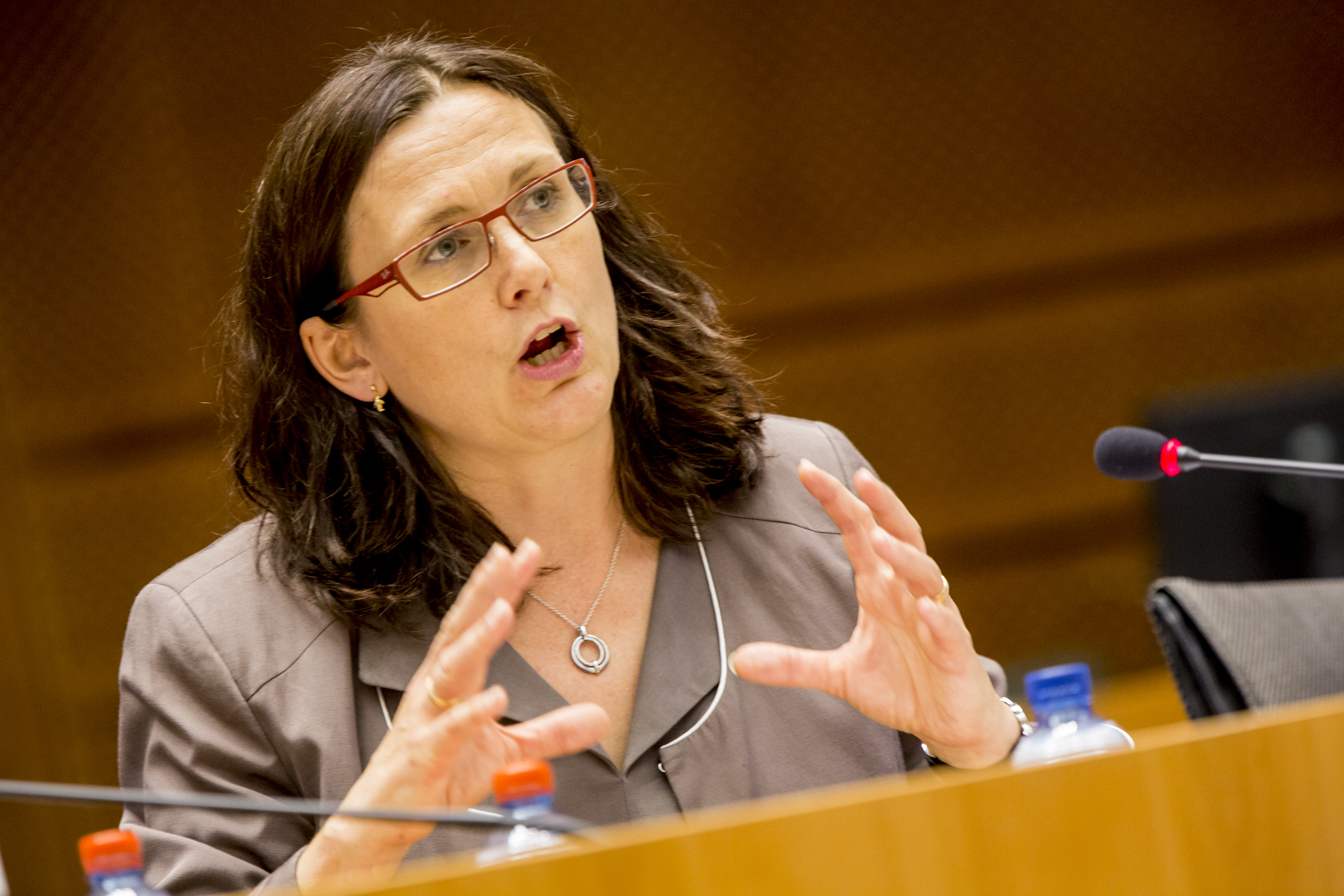 TTIP: Malmström fordert von Berlin mehr Unterstützung für Freihandelsabkommen