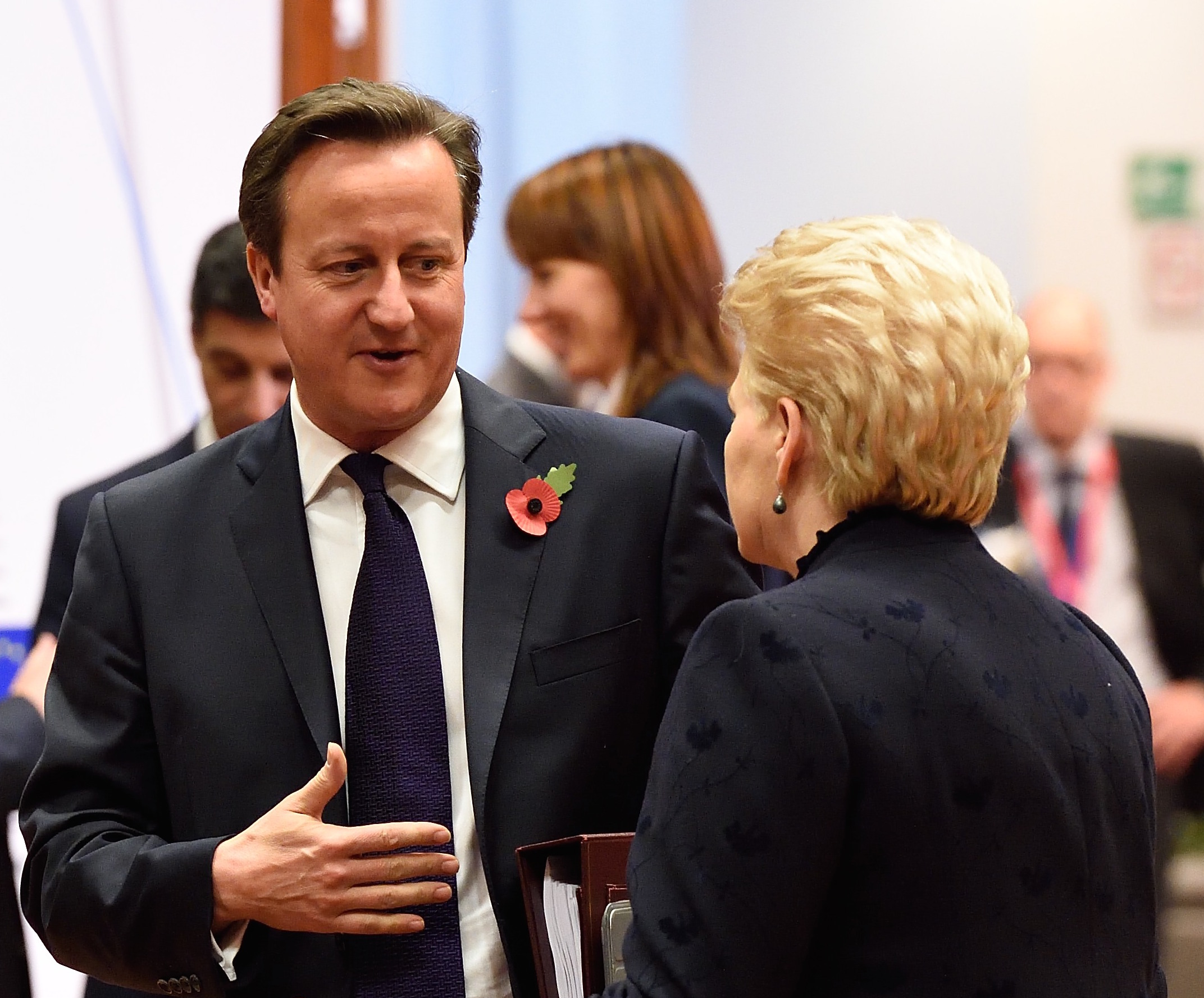 Cameron will rasch EU-Reformen durchsetzen