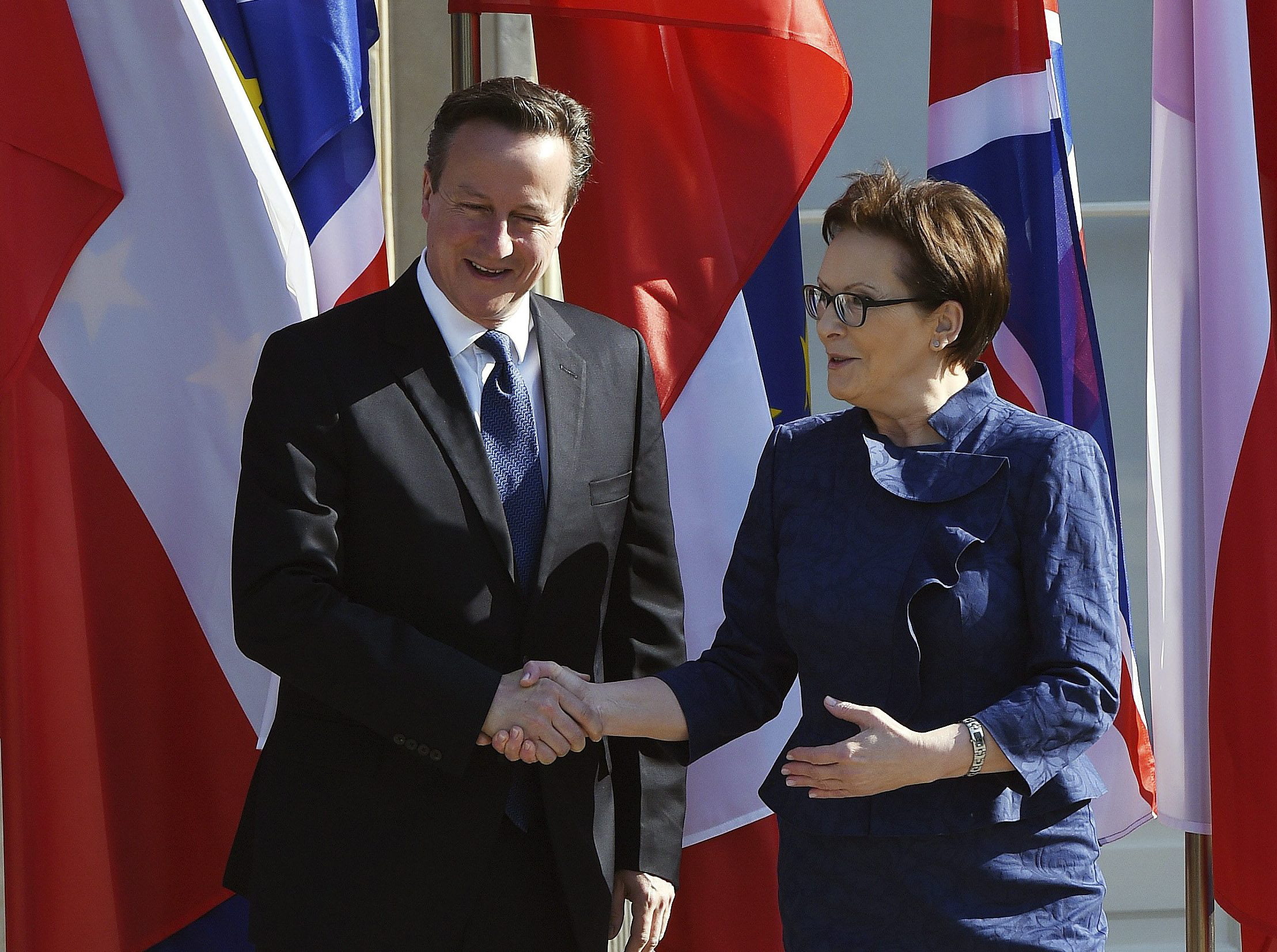 Cameron wirbt in Polen um Zustimmung für EU-Reformen