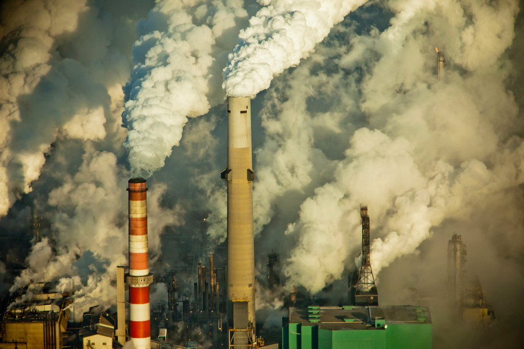 Milliardengeschäft CO2-Kompensationen: Experten fordern verbindliche Standards