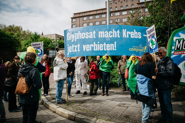 WHO-Studie: Unkrautvernichter Glyphosat "wahrscheinlich krebserregend"