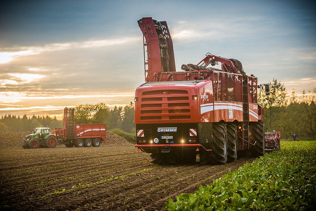 Landwirte klagen über geringe Ernte und niedrige Preise