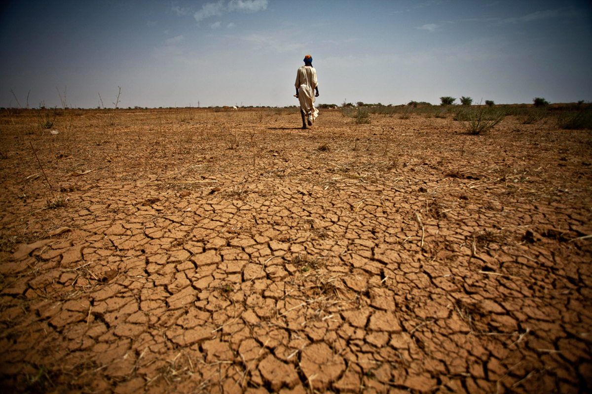 Global gesehen kosten die Produktivitäts- und Ertragsrückgänge durch den jährlichen Verlust von rund 24 Milliarden Tonnen fruchtbarem Boden rund 40 Milliarden Euro pro Jahr.