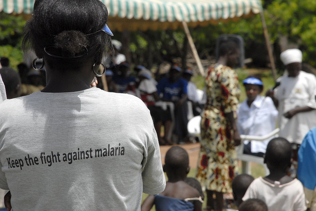 UN-Bericht: 60 Prozent weniger Malaria-Tote seit 2000